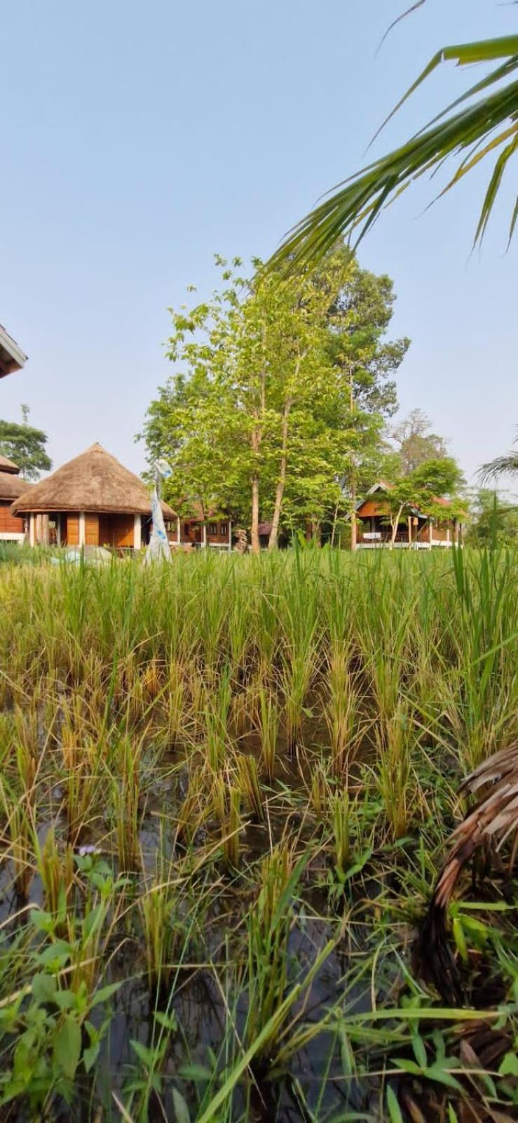 Bolaven Garden Bungalow And Tent - Tad Lo Ban Kiangtat Luaran gambar