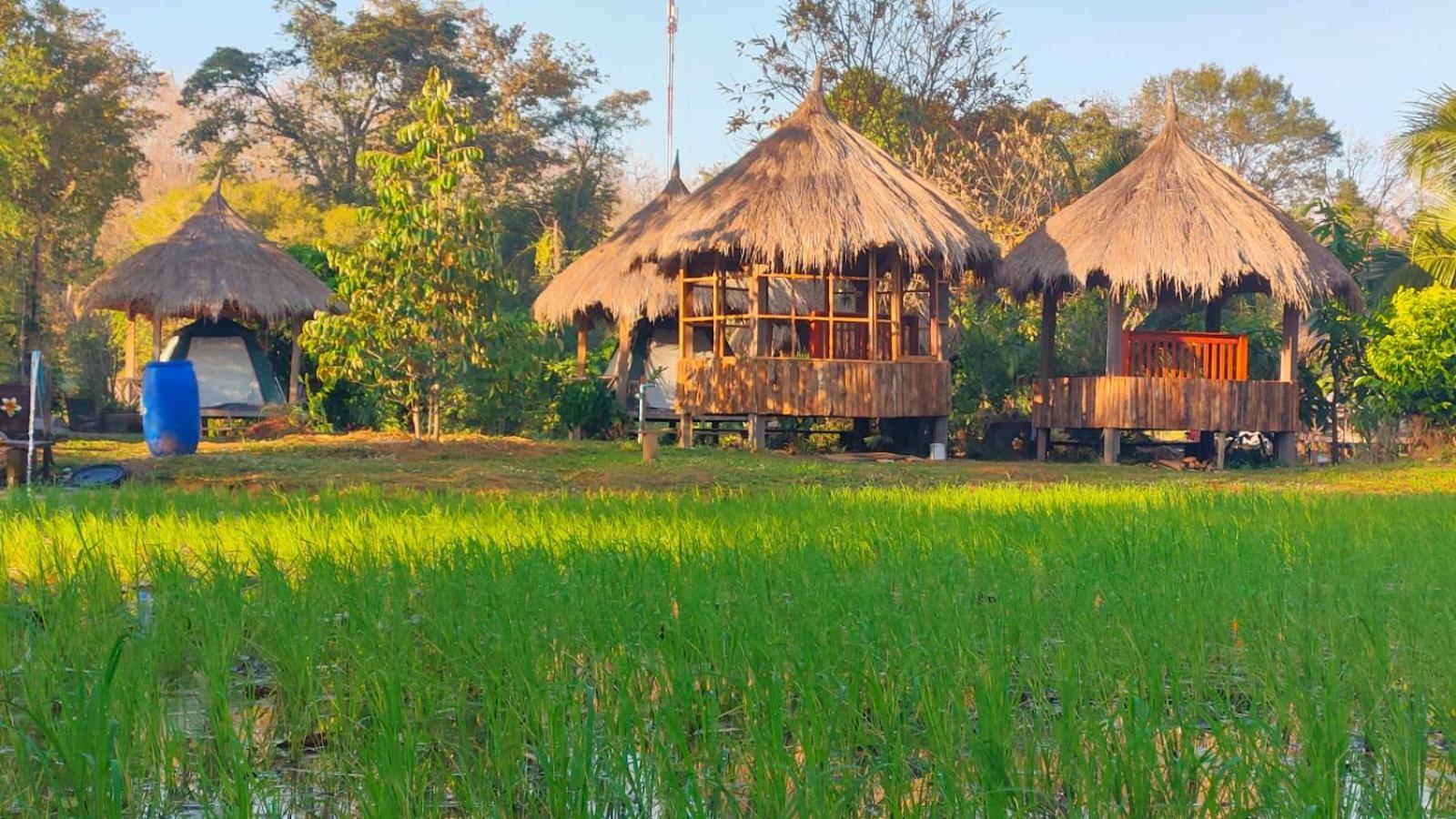 Bolaven Garden Bungalow And Tent - Tad Lo Ban Kiangtat Luaran gambar